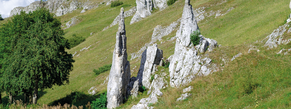 Eselbsburger Tal lang